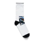 ganeshaのコアラップンでスケートボード体験 Socks