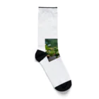 二宮大輔のおまつりカエル Socks