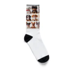 wankoyの16匹のワンちゃん Socks