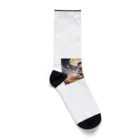 EijiPonのアコギと少年 Socks