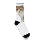 Mashlyのマシロくん猫グッズ Socks