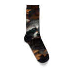 Raccoon Cool PlanetのRaccoon Cool Planet Socks