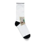 めろんグッズのインテリサウルス Socks