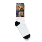 AQUAMETAVERSEの犬のぼくが画家だよ何か？ アメジスト 2046 Socks