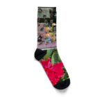 波乗り南国🏝️の花見散歩 Socks