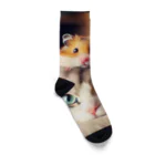 Cartoonの猫とハムスター仲良し Socks