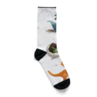 AQUAMETAVERSEの恐竜勢揃い　なでしこ1478 Socks