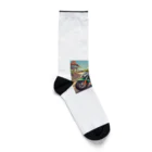 二宮大輔のカエルライダー4兄弟　長男　マッテオ Socks