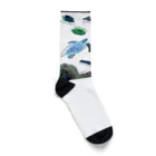 L_arctoaの沖縄の海の生き物 Socks