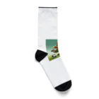 ketapapaのサッカーねこ Socks