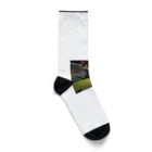 GUNSUNの女子サッカー Socks