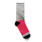 ricotsuruokaのIguana Socks