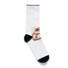 ロアのぶっちゃん Socks