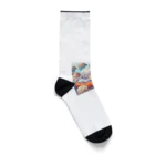 HERAX(へラックス）2号店の南極でアザラシと夢の中へ Socks