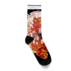 Hiroshi Mizuki@Mirror Ball GráficoのHOT FLAVOR Socks