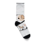 ganeshaのかわいい犬のバックグラウン Socks