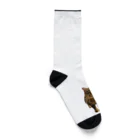 猫島のじかんのごめ～んにゃさい Socks