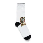 chiro-1456のアミン Socks