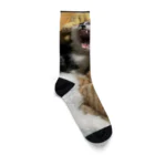 ayamomohidemiのキュートな猫猫あくび Socks