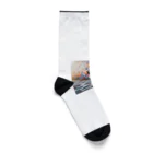 Keeiiのサングラス×ミニチュアシュナウザー⑦ Socks