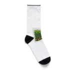 るる ＊ PIXEL ART SHOPのドット絵の可愛いパンダグッズ Socks