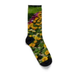 k-aのお花 Socks