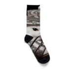 ArtVoyageの猫殿の風雅 Socks