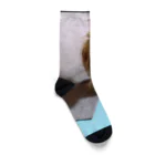 ベイビーちゃんのアレンくん Socks