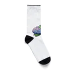 終わらない夢🌈の紫陽花の花と可愛いアマガエル🐸 Socks