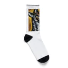 Ppit8の野生の猫 Socks