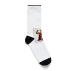 ROROAの無敵のヒーロー犬 Socks