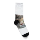 pear_67のdoya_neko Socks