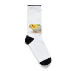 まめるりはことりのオカメインコ　レキ【まめるりはことり】 Socks