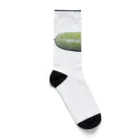 かまだ まゆめのWINTER MELON 冬瓜2 Socks