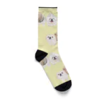 hanapecha_wannyanの可愛い兄弟 Socks