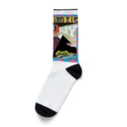 fab chic ファブシックのファブ10富士山 Socks