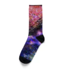 wack_iceの宇宙 Socks