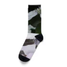 蛍石のhydrangeas Socks