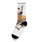 snznのsnzn_BullTerrier Socks