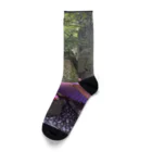 chan kumiの和風パワースポットshrine Socks