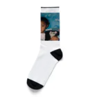 こんねきが楽しい尊敬のforever Socks