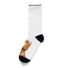 パンプアップ柴Hachiのパンプアップ柴Hachi Socks