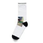 InoMasaの散歩ガール　 Socks