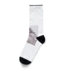 TMK-のシロと桜 Socks