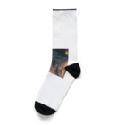 saroraの江戸の町 Socks