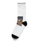 献血するドラキュラの宇宙人シリーズ Socks