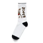 白い犬の白柴犬　ないものはない Socks