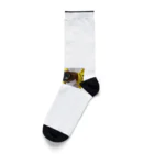 Stylishのカメラのインスピレーション Socks