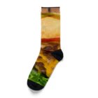 Take2ndのバーガー屋さんのお裾分け Socks