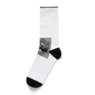 yougawhogaのトライバル　ジープ1 Socks